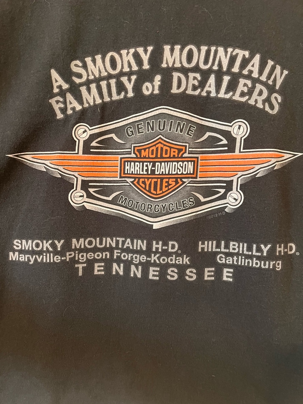 Harley-Davidson Tennessee Smoky Mountain cropped Graphic Tee - Black & Orange